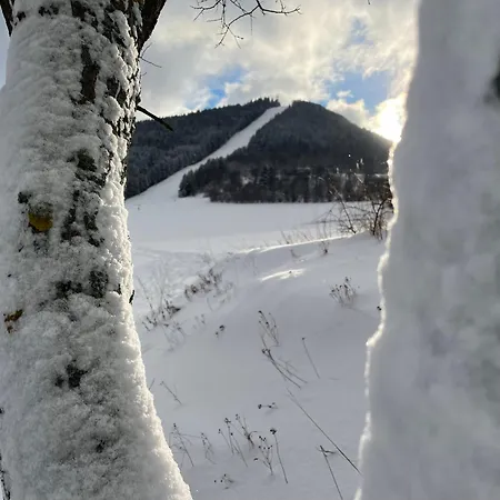 Chalupa Cicmany * Čičmany